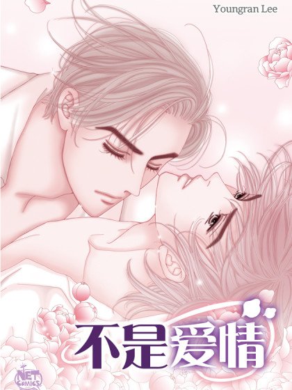 不是爱情封面